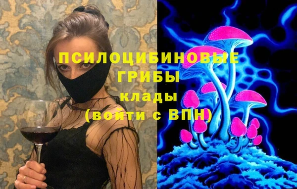сатива Нефтекумск