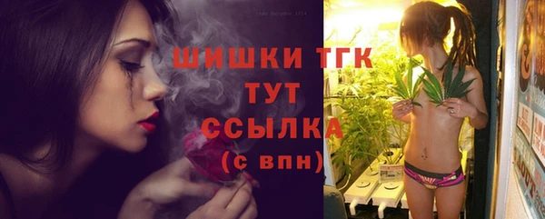 тгк Нея