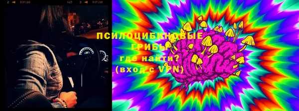 тгк Нея