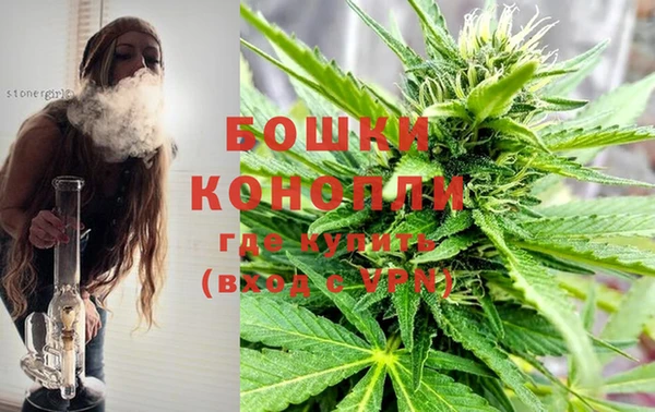 сатива Нефтекумск