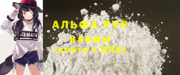 тгк Нея