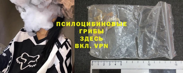 сатива Нефтекумск