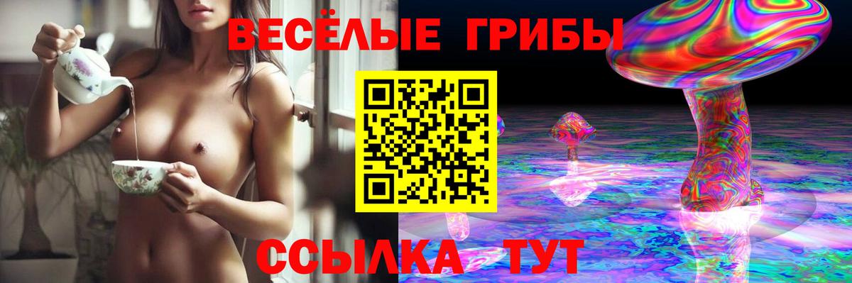 Галлюциногенные грибы MAGIC MUSHROOMS Великий Устюг
