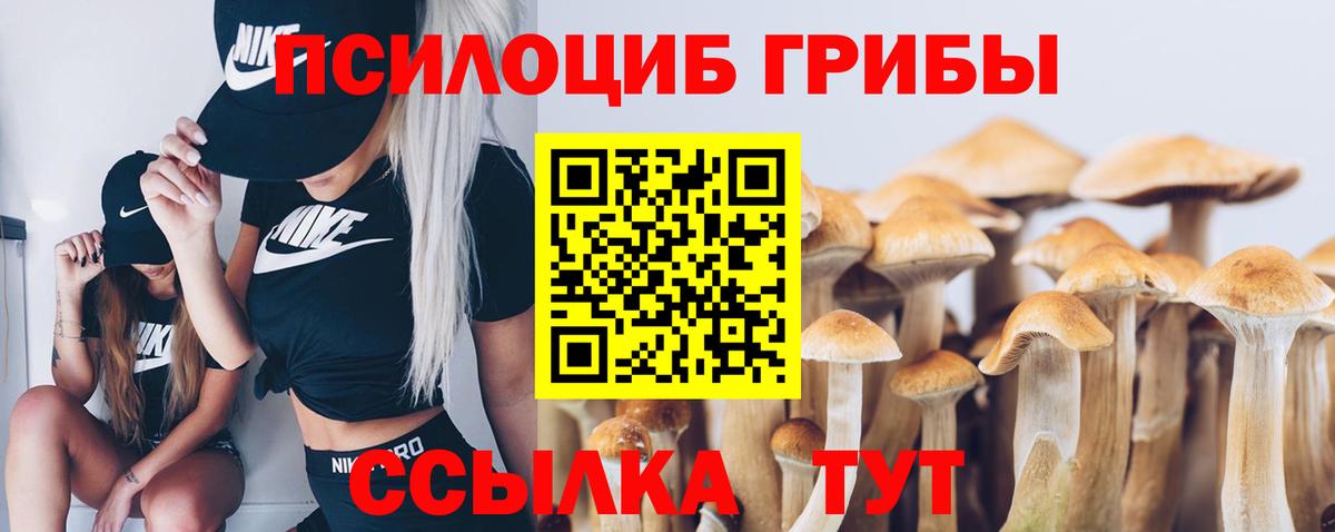 Галлюциногенные грибы Psilocybe  Вход с VPN  где продают наркотики  Великий Устюг 