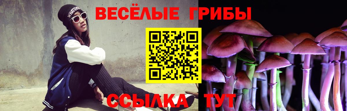 Галлюциногенные грибы мухоморы Великий Устюг